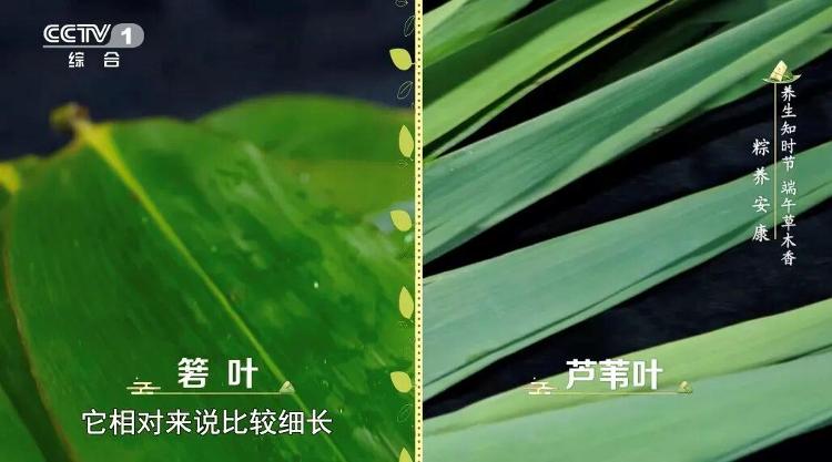 博主再谈磷酸铁锂技术路线可能第一个被淘汰：我有逻辑支撑